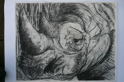5. Behemoth. ( The Rhinoceros Revisited ).
